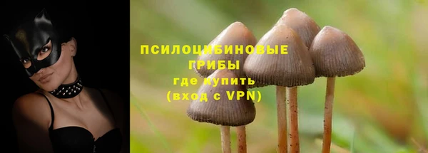 бутират Белокуриха