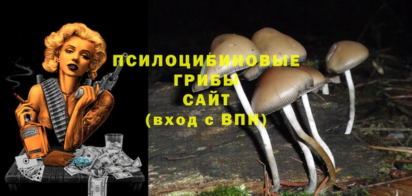бутират Белокуриха