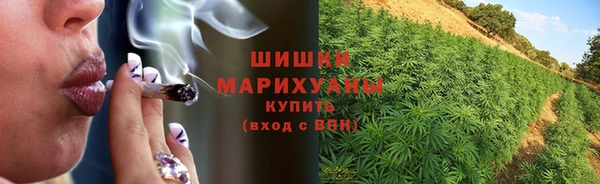 spice Зеленодольск