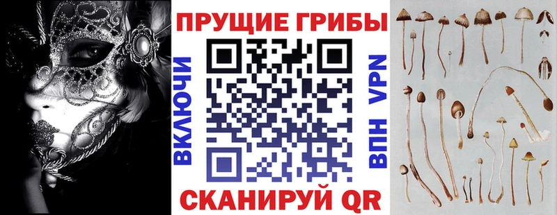 купить наркотики цена  Гулькевичи  Галлюциногенные грибы мицелий 