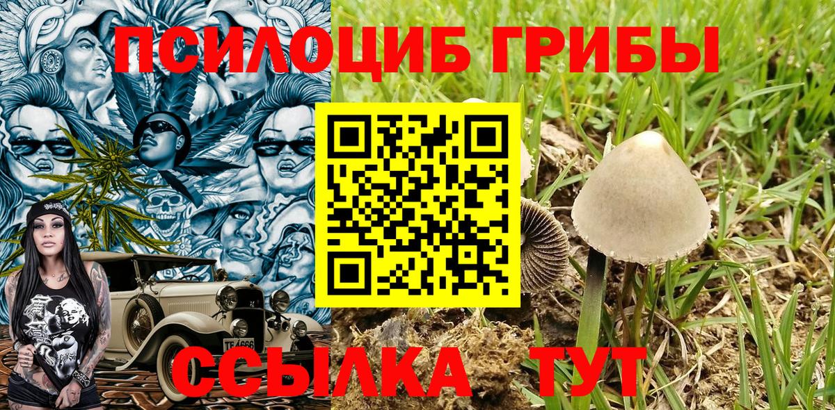 Псилоцибиновые грибы мухоморы Гулькевичи