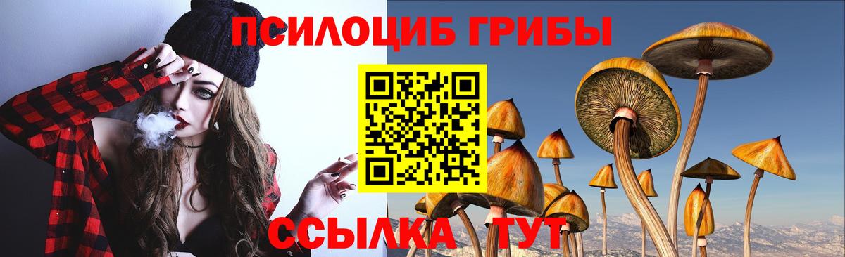 Галлюциногенные грибы Magic Shrooms  где найти наркотики  Гулькевичи  Вход с VPN 